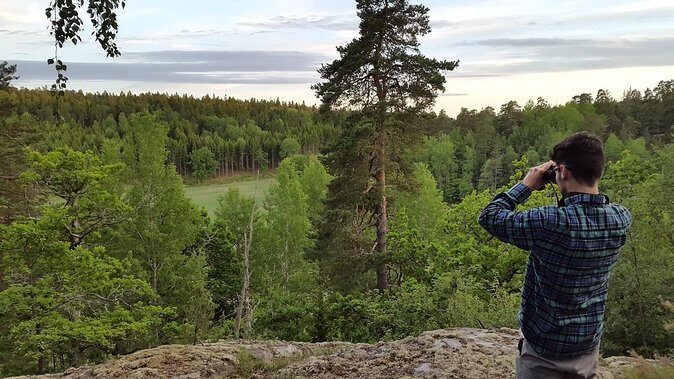 Evening Wildlife Safari Stockholm - Bornsjöns Naturreservat: The Heart of the Safari