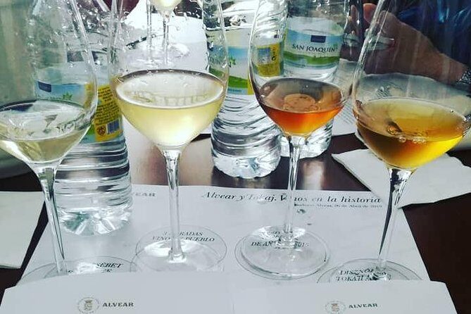 Evening Wine Tasting Córdoba - Final Thoughts