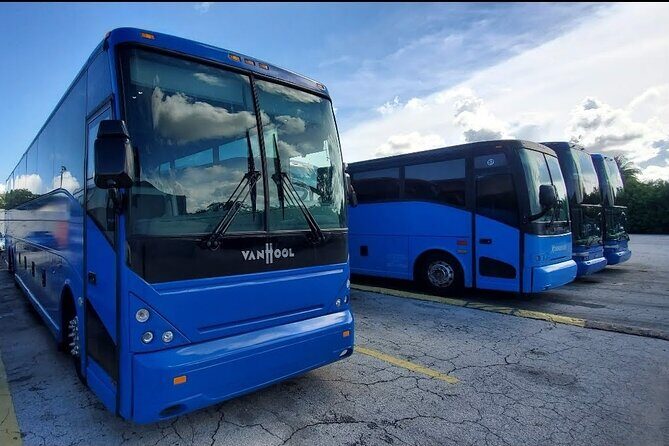 Everglades Alligator Airboat Tour with Bus transfer from Miami - Is It Worth the Price?