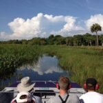 Everglades Day Safari from Fort Myers/Naples Area - Who Would Love This Tour?