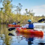 Everglades Guided Kayak Tour - Practical Considerations