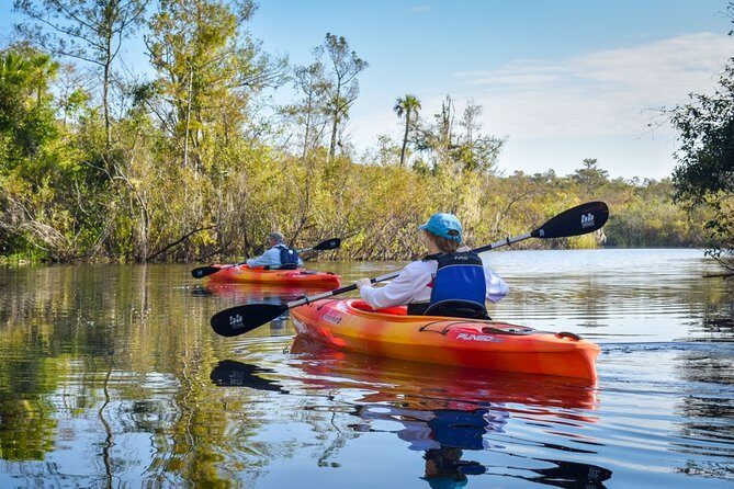 Everglades Guided Kayak Tour - Practical Considerations