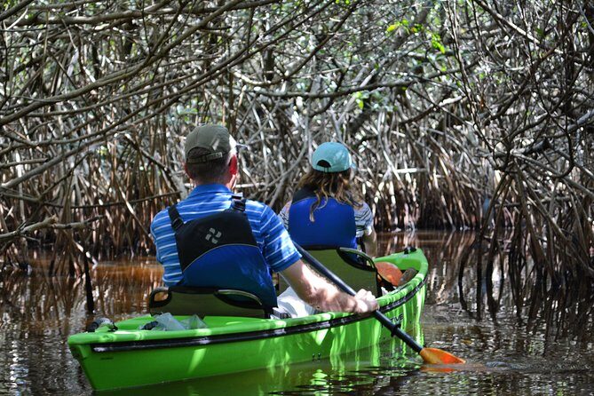 Everglades Kayak Safari Adventure Through Mangrove Tunnels - Wildlife and Nature Encounters
