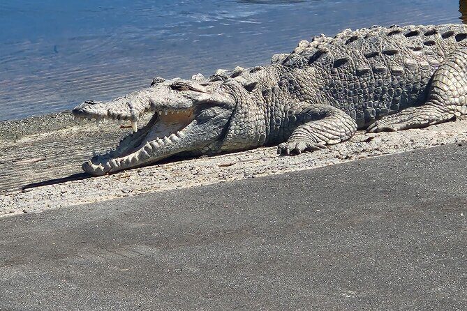 Everglades National Park: 3 Hikes + 90 minute Boat Tour + Lunch - Who Should Consider This Tour?