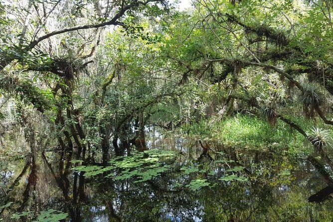 Everglades National Park Biologist Led Adventure: Cruise, Hike + Airboat - Who Is This Tour Best For?