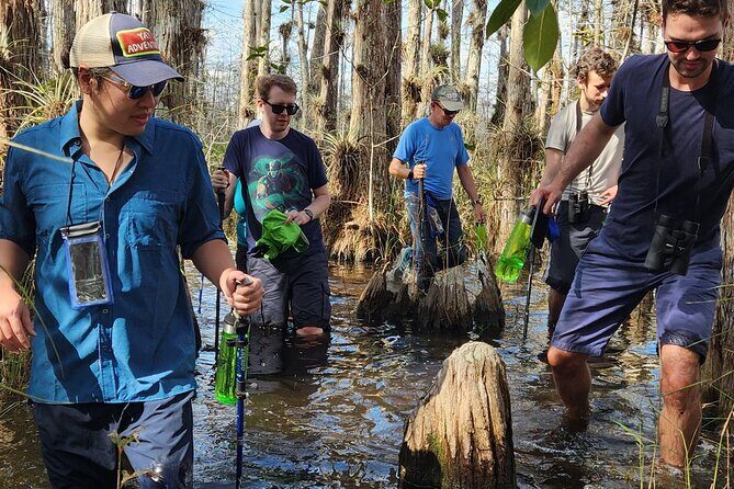 Everglades Tour w/ Biologist Led WET walk + 2 Boat Trips + Lunch! - Practicalities and Tips