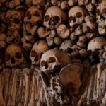 Evora and Vila Viçosa, secrets of the Southern Portugal - Savoring the Flavors of Alentejo