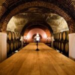 Evora: City Tour - 10h - Is It Worth the Price?