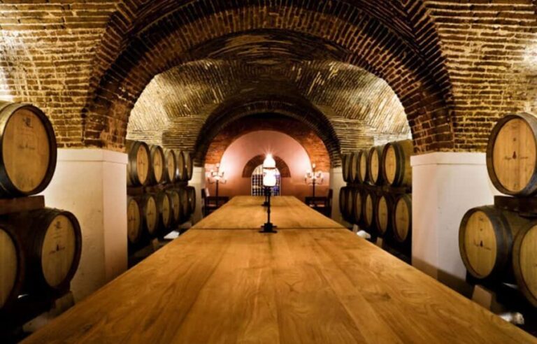 Evora: City Tour - 10h - Is It Worth the Price?