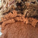 Évora Cork and Castle Tour - What Real Travelers Say