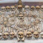 Évora Full-Day Tour with Wine Tasting from Lisbon - Practical Details and What to Expect