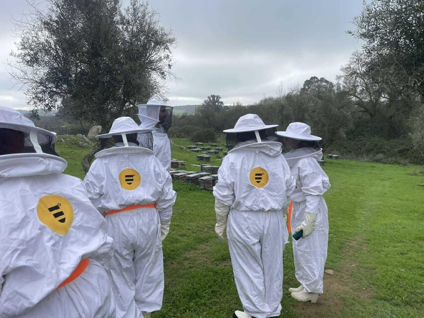 Évora or Montemor: Beekeeping, Chocolate factory, Wine tasting - The Experience from Reviews and Perspectives