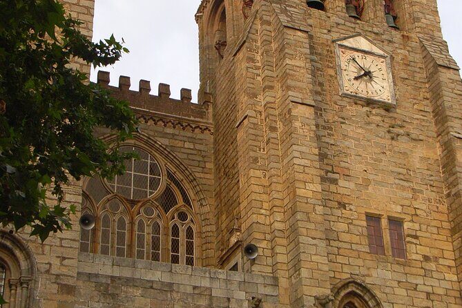 Évora Private Walking Tour with a Professional Guide - Who Will Love This Tour?