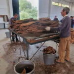 Évora & Wines: A Taste of Authentic Alentejo - Exploring Évora: A UNESCO Treasure