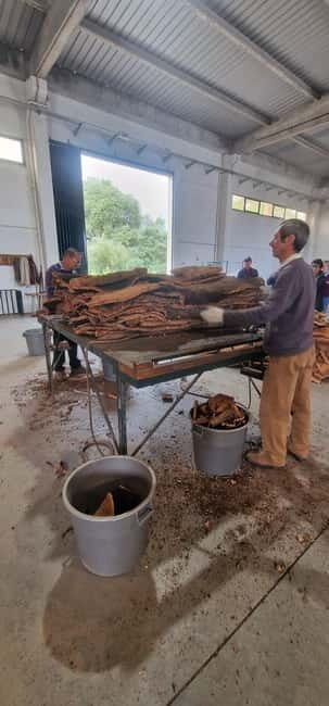 Évora & Wines: A Taste of Authentic Alentejo - Exploring Évora: A UNESCO Treasure