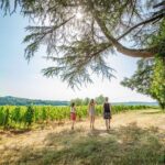 Exceptional visit and tasting of 7 wines - The Experiences Value for Money