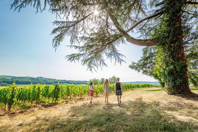 Exceptional visit and tasting of 7 wines - The Experiences Value for Money