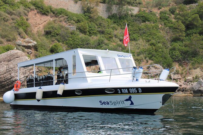 Exciting PADI Discover Scuba Diving Experience Isola Bella Marine Park Taormina - How the Tour Compares to Other Experiences