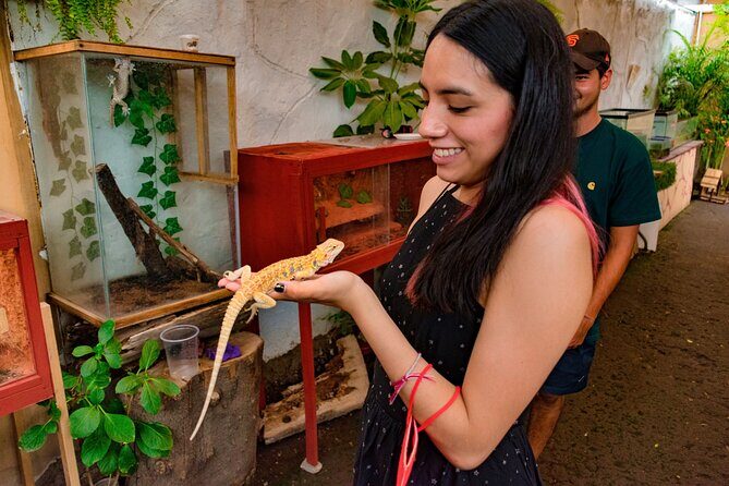EXCLUSIVE Floating Adventure of Xochimilco - small groups - How the Experience Feels in Practice