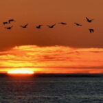 Exclusive in Norway, Sommarøy: Midnight sun in a Hobie sail kayak - The Experience: Nature, Emotions, and Unique Views