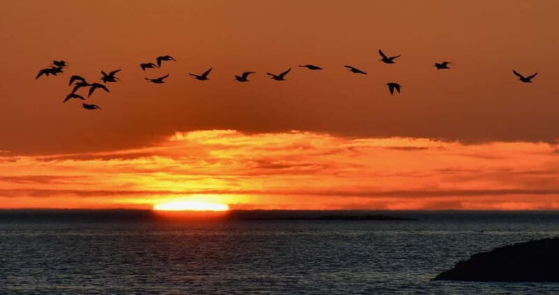 Exclusive in Norway, Sommarøy: Midnight sun in a Hobie sail kayak - The Experience: Nature, Emotions, and Unique Views