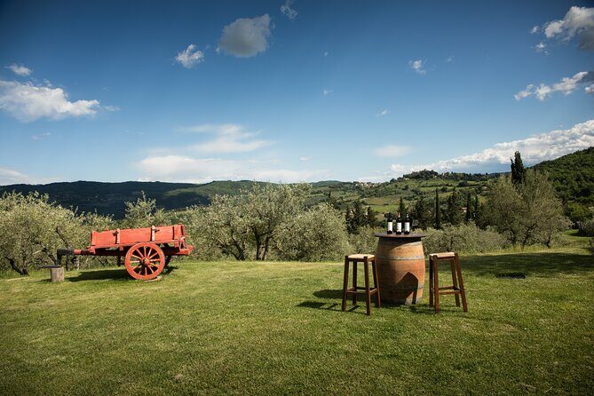 Exclusive Lunch Tour and Wine tasting at a Chianti Classic Winery - Is It Worth the Price?