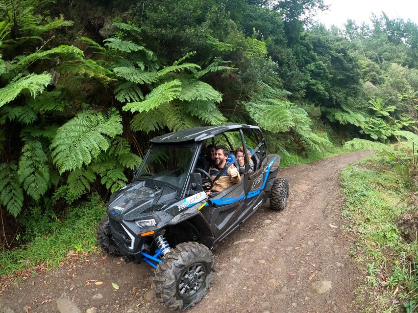 Exclusive Private Buggy Adventure: Forest and Mountains - The Practical Side: What’s Included and What to Know