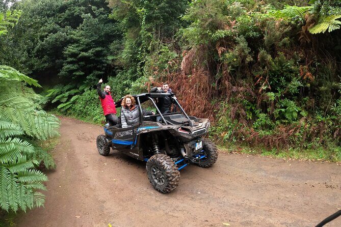 Exclusive Private Buggy Adventure: Forest and Mountains - Who Will Love This Tour?