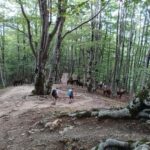 Exclusive Private Tour to Theth: Waterfall and the Blue Eye - The Natural Wonders: Waterfall and Blue Eye