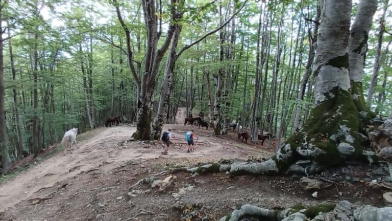 Exclusive Private Tour to Theth: Waterfall and the Blue Eye - The Natural Wonders: Waterfall and Blue Eye