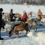 Exclusive Reindeers Experience in small groups, Tromso - What the Reviews Say