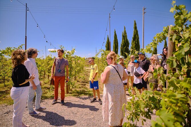 Exclusive Siena and San Gimignano Tour & Chianti Wine Experience - Practical Details: Transportation, Group Size, and Cost
