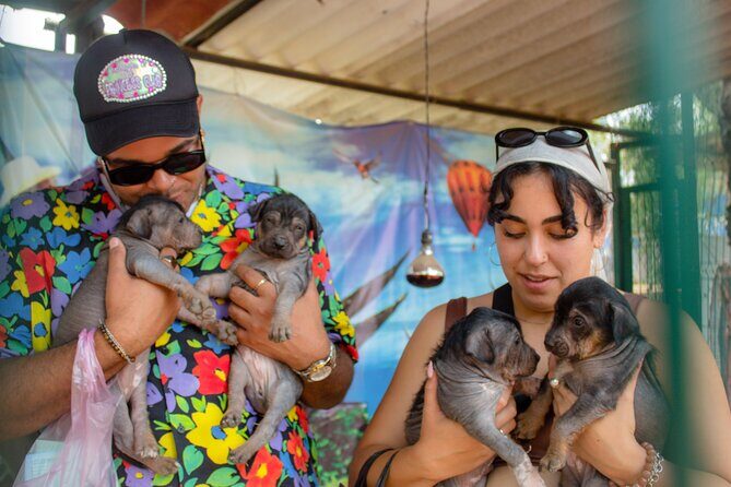 Exclusive Tour in Teotihuacan, Breakfast in the Cave and CDMX pick-up - Deep Dive into the Itinerary