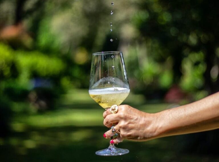Exclusive Vinho Verde (Green Wine) experience & lunch - What You Should Know Before Booking