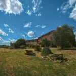 Exclusive Wine Tour and Tasting Experience in Siena - The Overall Experience: What Makes It Stand Out