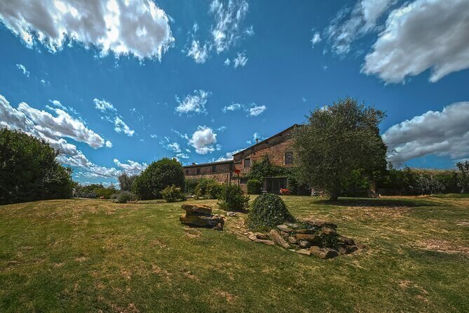 Exclusive Wine Tour and Tasting Experience in Siena - The Overall Experience: What Makes It Stand Out