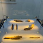 Excursion: Neocueva de Altamira | Santillana del Mar | Comillas - Transportation & Timing: Why It Matters