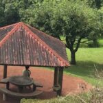 Excursion to Furnas and Nordeste with Cozido das Furnas - The Experience of a Local Guide