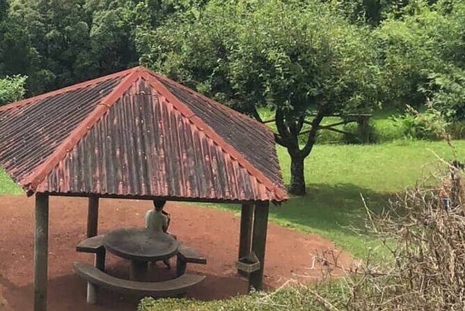 Excursion to Furnas and Nordeste with Cozido das Furnas - The Experience of a Local Guide