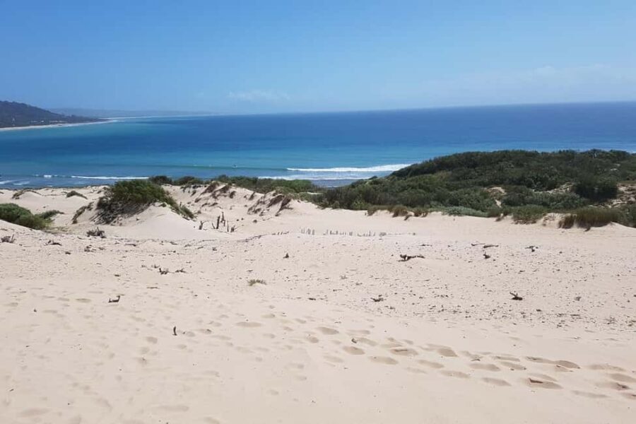Excursion to Tarifa, Baelo Claudia, Bolonia, and Vejer de la Frontera with a tour guide - FAQ