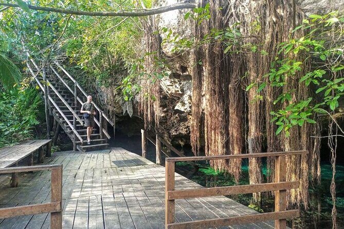 Exotik half a day tour: Cenote Cave and Swimming with Sea Turtles - Cenote Nohoch: A Jungle Oasis