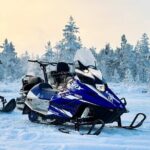 Expedition "INTO THE WILD" Safari and Lunch in Glass Igloo - Deep Dive into the Experience