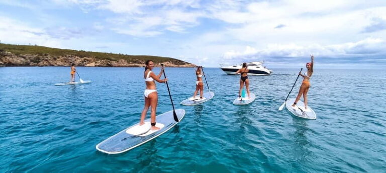 Experience Crystal paddle surf Tours + snorkel - The Experience: A Closer Look
