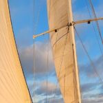 Experience Oceanside Sailing with Whales and dolphins! - Who is This Tour Best For?