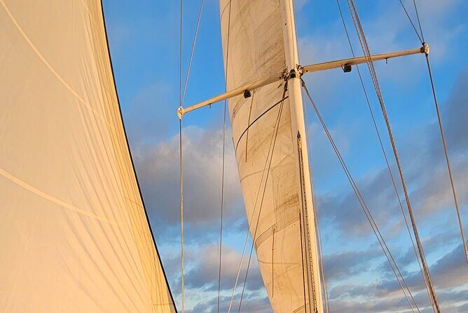 Experience Oceanside Sailing with Whales and dolphins! - Who is This Tour Best For?