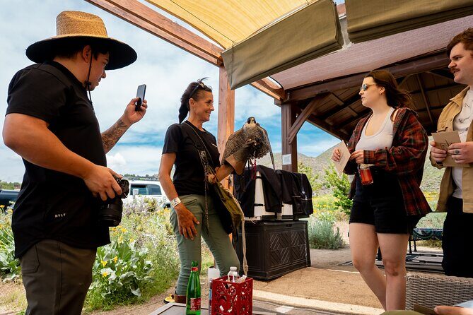 Experience Raptors and Falconry in Reno - FAQ