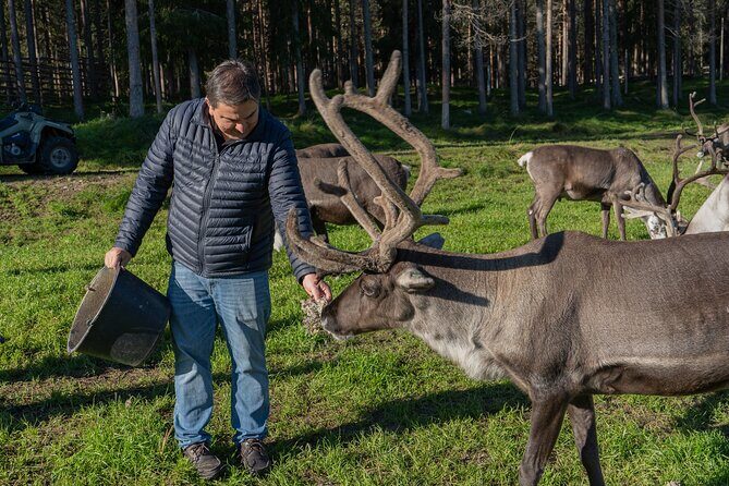 Experience Reindeer Farm and Ranua Wildlife Park in Rovaniemi - Who Is This Tour Best For?