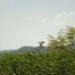 Experience Skadar Lake in 1h! - Price and Value