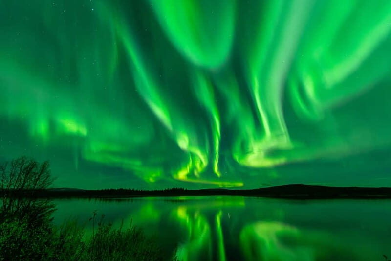 Experience the majestic Auroras Kiruna-Abisko & lodge dinner - What Reviewers Say