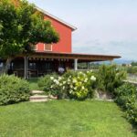 Experience Valpolicella: visit and tasting near Verona - Key Points